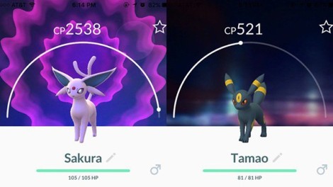 Como escolher a evolução do Eevee no Pokémon GO